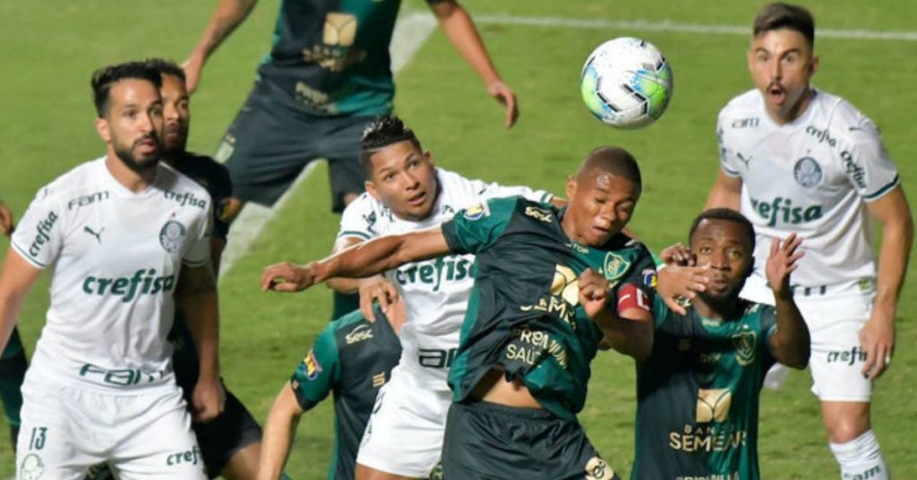 América Mineiro x Palmeiras Brasileirão Série A - Foto Reprodução do Twitter